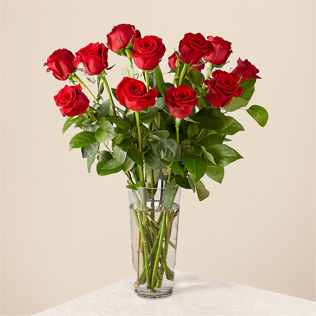 Long Stem Red Rose Bouquet – ANITA'S FLOWERS AND ICE CREAM LLC, Passaic NJ