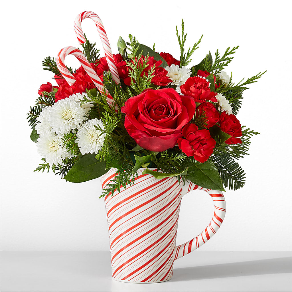 Peppermint Swirl Mug – ANITA'S FLOWERS AND ICE CREAM LLC, Passaic NJ