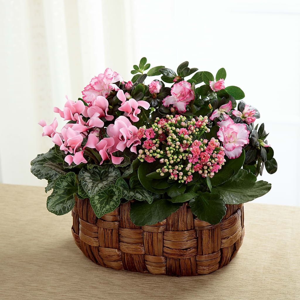 Pink Assortment – ANITA'S FLOWERS AND ICE CREAM LLC, Passaic NJ
