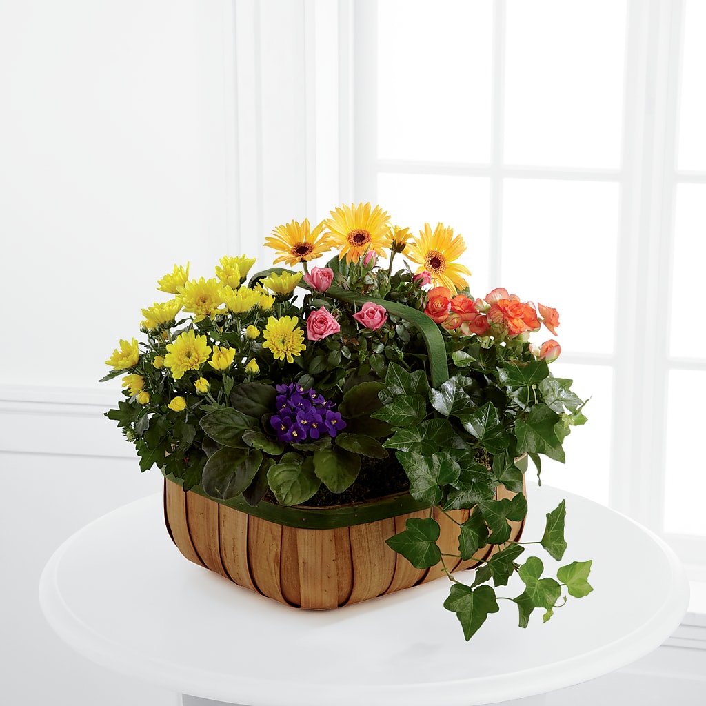 Gentle Blossoms Basket – ANITA'S FLOWERS AND ICE CREAM LLC, Passaic NJ