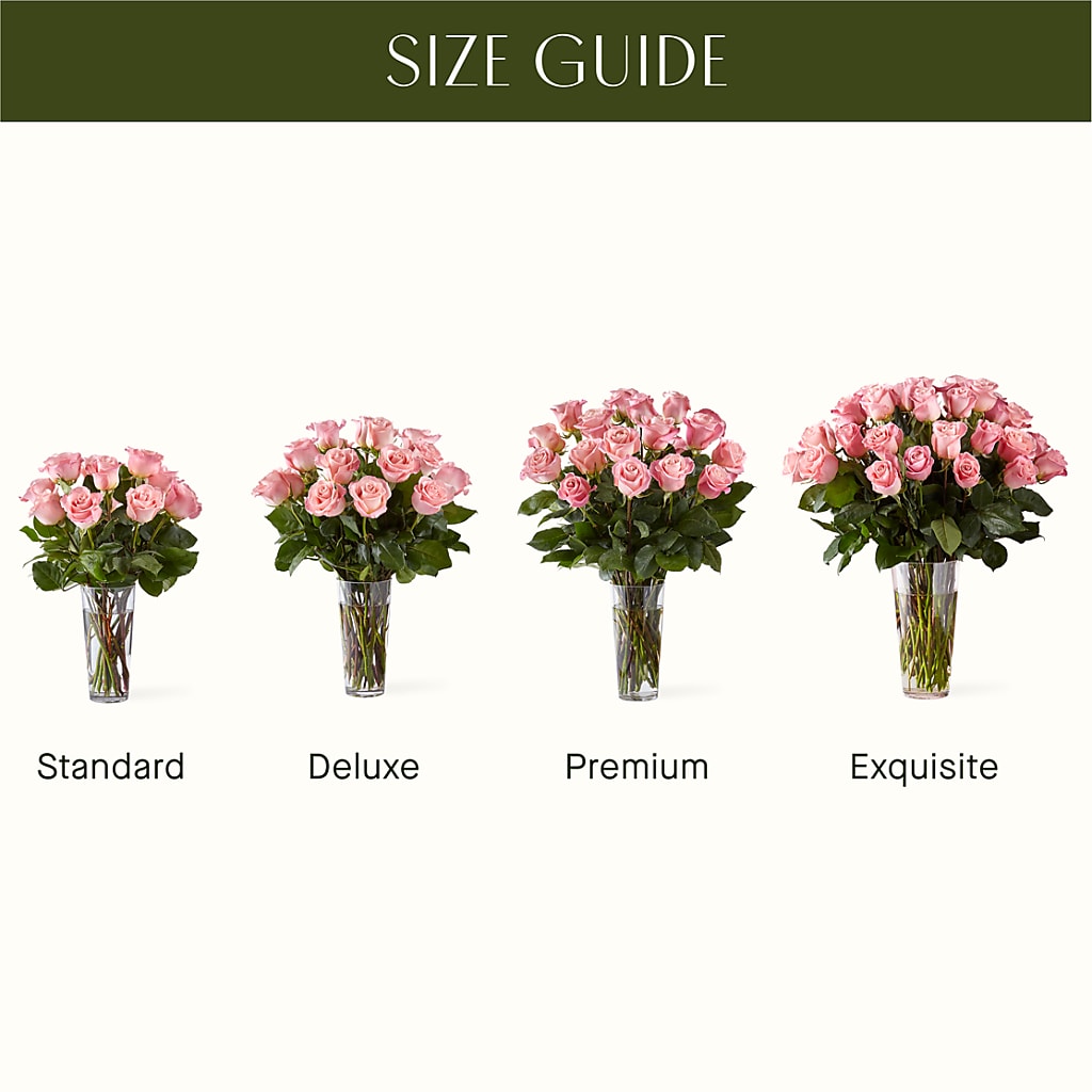 Long Stem Pink Rose Bouquet – ANITA'S FLOWERS AND ICE CREAM LLC, Passaic NJ