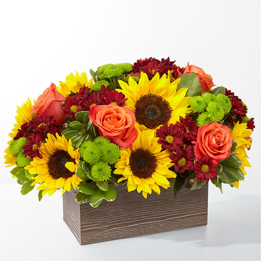 Happy Harvest Garden – ANITA'S FLOWERS AND ICE CREAM LLC, Passaic NJ