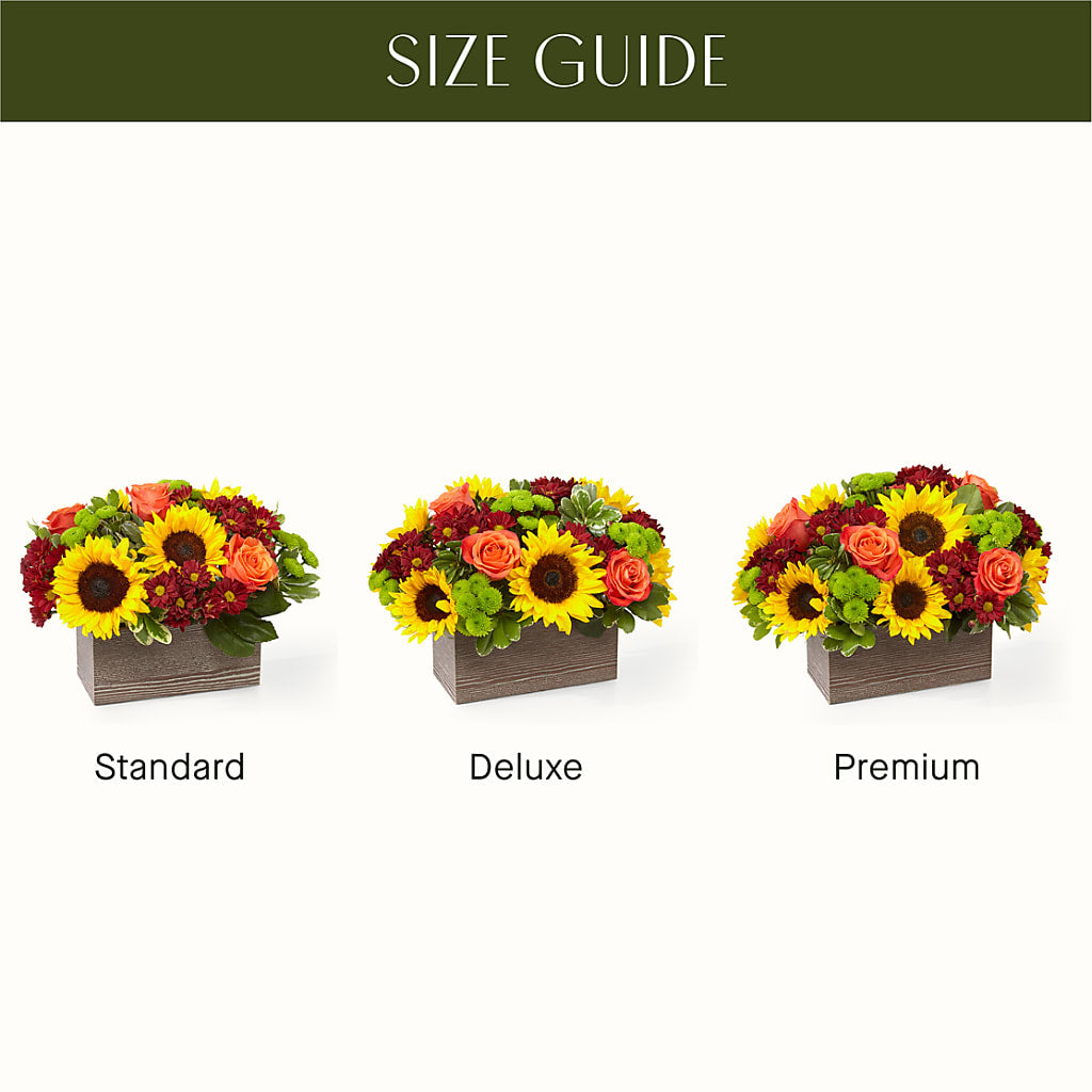 Happy Harvest Garden – ANITA'S FLOWERS AND ICE CREAM LLC, Passaic NJ