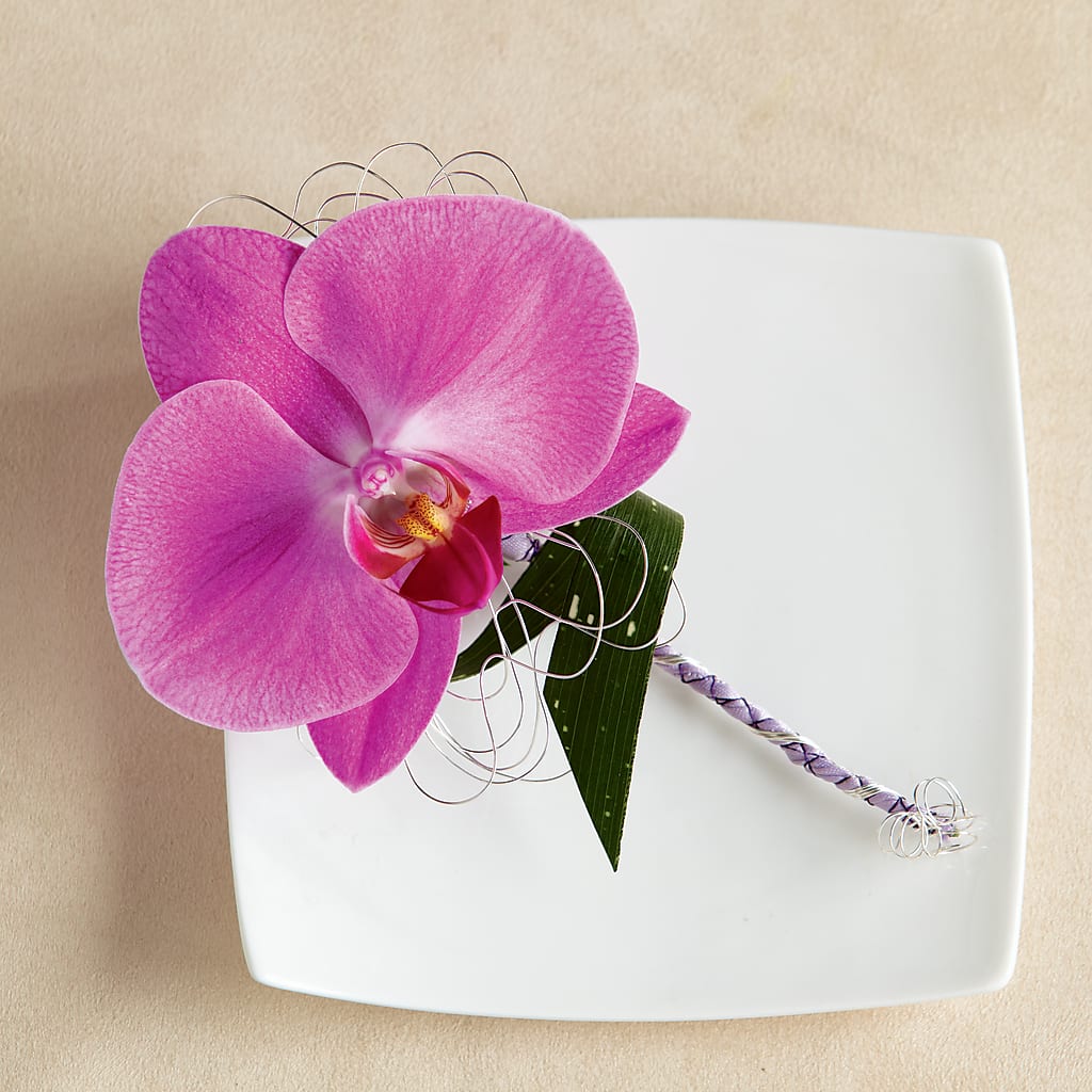 Glorious Boutonniere – ANITA'S FLOWERS AND ICE CREAM LLC, Passaic NJ
