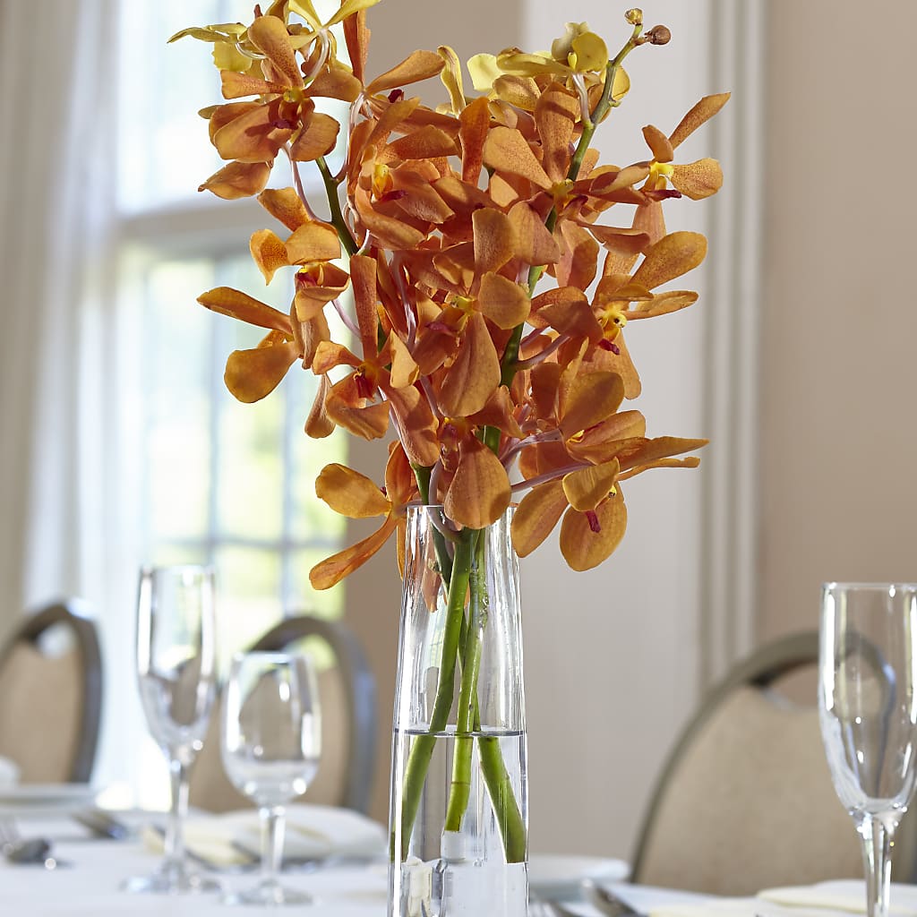 Orange Mokara Bud Vase – ANITA'S FLOWERS AND ICE CREAM LLC, Passaic NJ