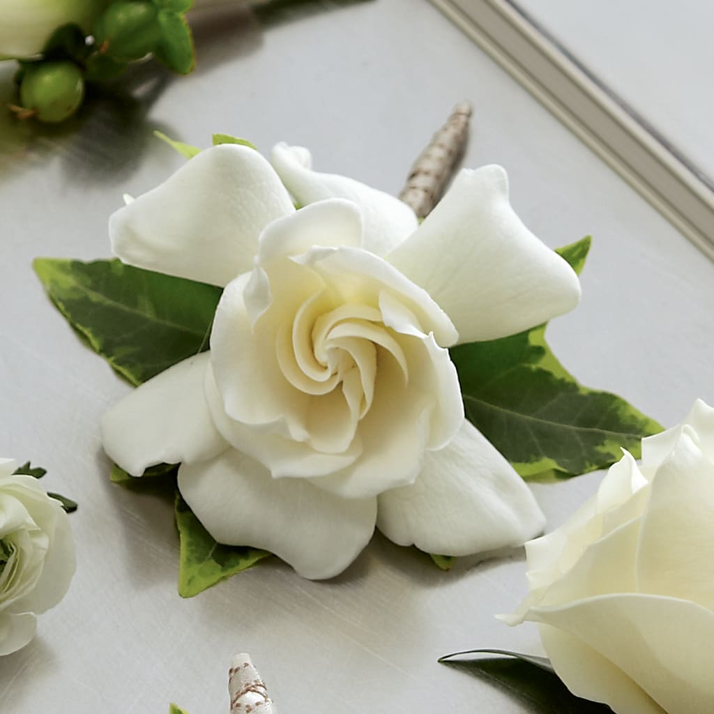 Gardenia Boutonniere – ANITA'S FLOWERS AND ICE CREAM LLC, Passaic NJ