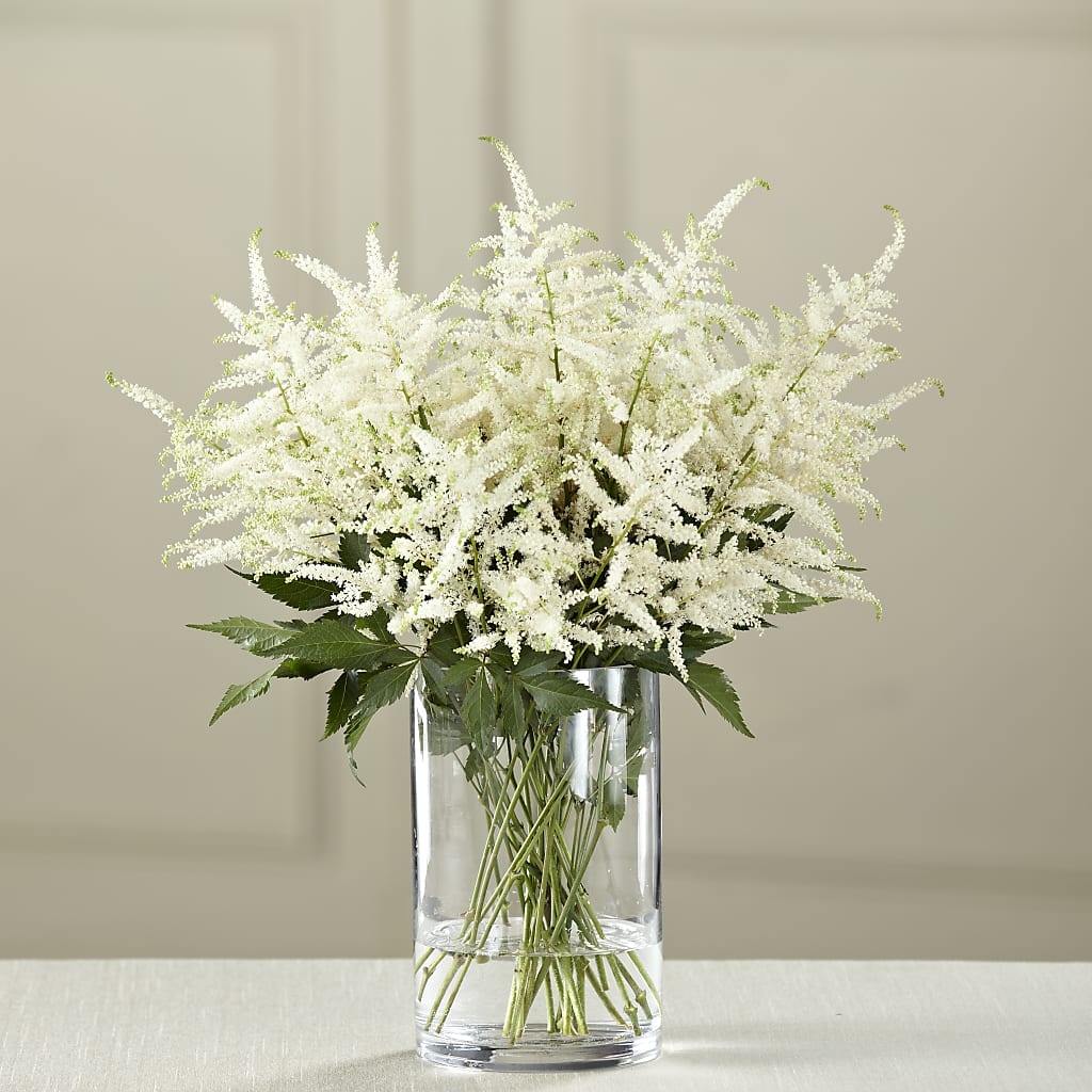 White Astilbe Bouquet – ANITA'S FLOWERS AND ICE CREAM LLC, Passaic NJ
