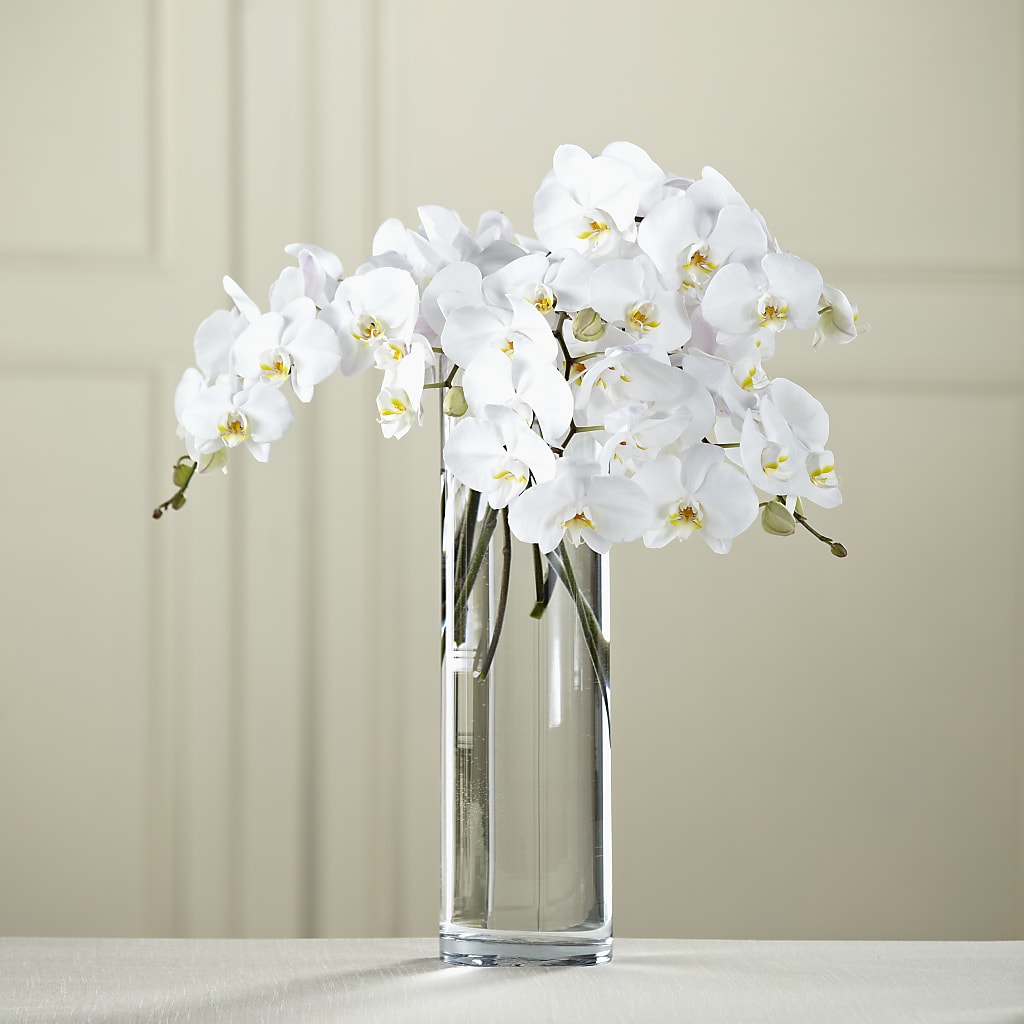 White Phalaenopsis Bouquet – ANITA'S FLOWERS AND ICE CREAM LLC, Passaic NJ