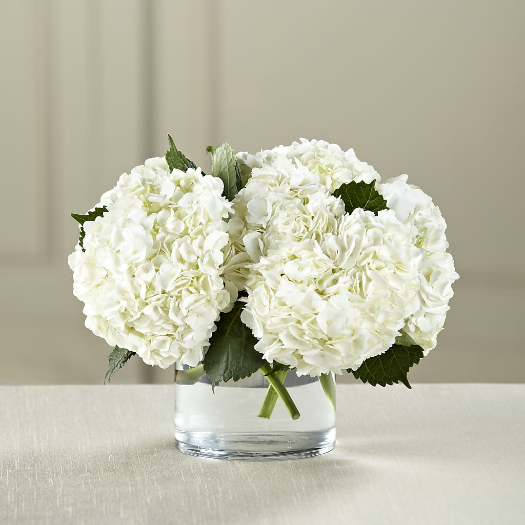 White Hydrangea Bouquet – ANITA'S FLOWERS AND ICE CREAM LLC, Passaic NJ