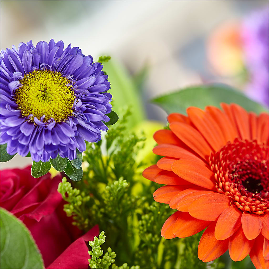 Bold & Bright – A Florist Original – ANITA'S FLOWERS AND ICE CREAM LLC, Passaic NJ