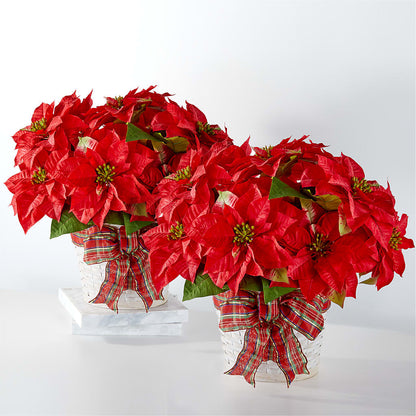 Happiest Holidays Poinsettia Bundle – ANITA'S FLOWERS AND ICE CREAM LLC, Passaic NJ