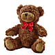 Adorable Plush Bear – ANITA'S FLOWERS AND ICE CREAM LLC, Passaic NJ