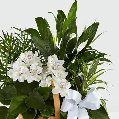 Peace & Serenity Dishgarden – ANITA'S FLOWERS AND ICE CREAM LLC, Passaic NJ