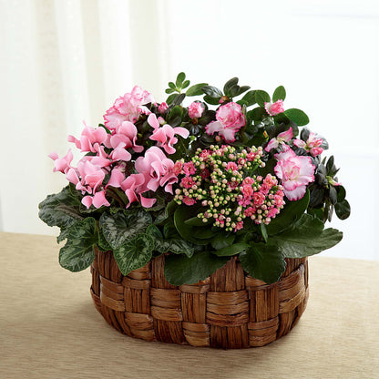 Pink Assortment – ANITA'S FLOWERS AND ICE CREAM LLC, Passaic NJ