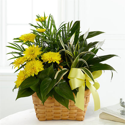 Loving Light Dishgarden – ANITA'S FLOWERS AND ICE CREAM LLC, Passaic NJ