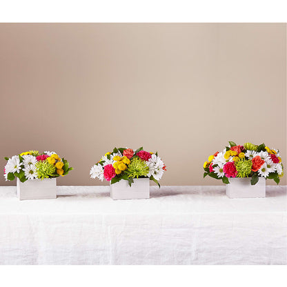 Sorbet Bouquet – ANITA'S FLOWERS AND ICE CREAM LLC, Passaic NJ