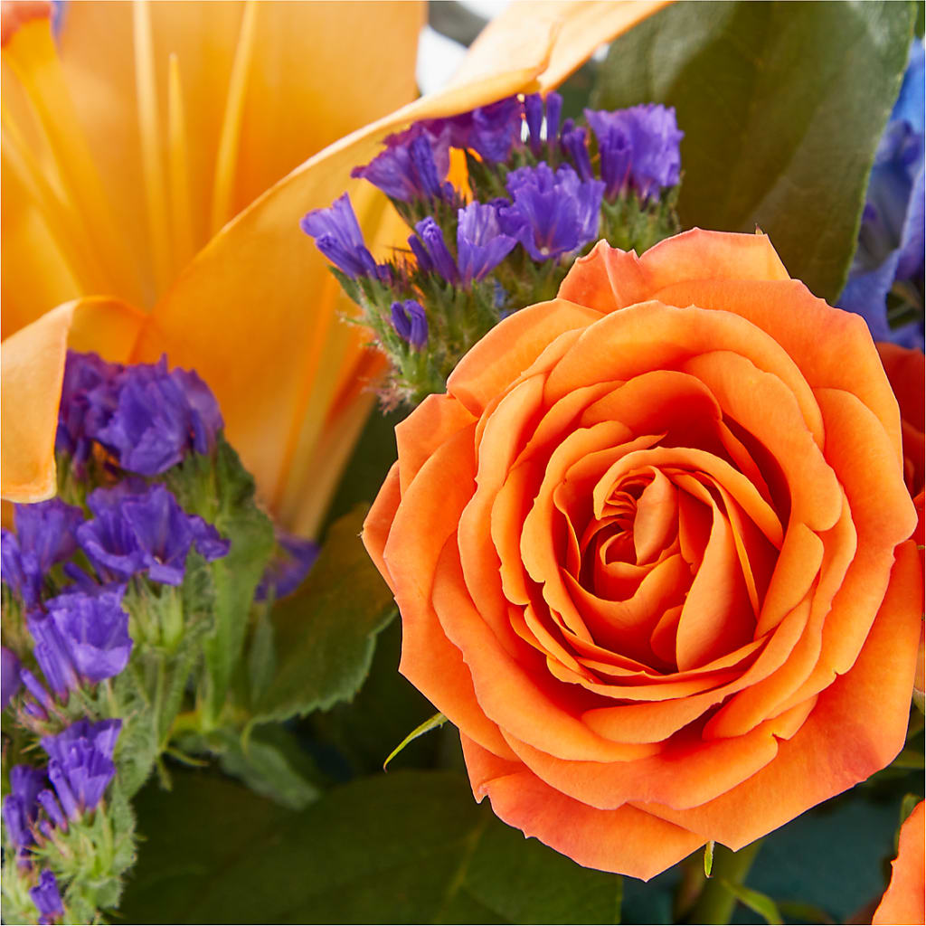 Radiant Citrus Box Bouquet – ANITA'S FLOWERS AND ICE CREAM LLC, Passaic NJ