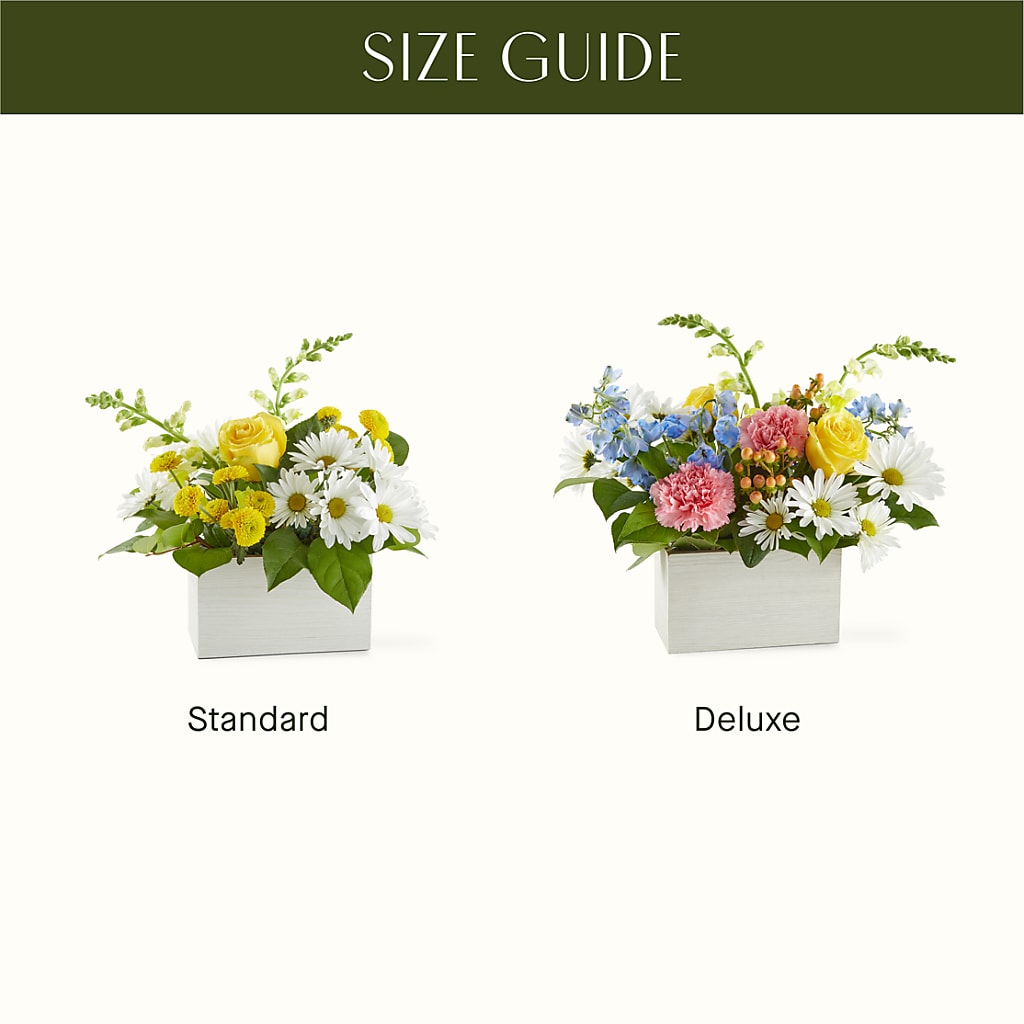 Sun Salutation Box Bouquet – ANITA'S FLOWERS AND ICE CREAM LLC, Passaic NJ