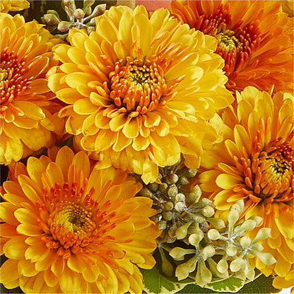 Peachy Pumpkin – ANITA'S FLOWERS AND ICE CREAM LLC, Passaic NJ
