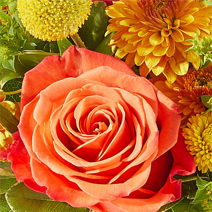 Gourdgeous Pumpkin – ANITA'S FLOWERS AND ICE CREAM LLC, Passaic NJ