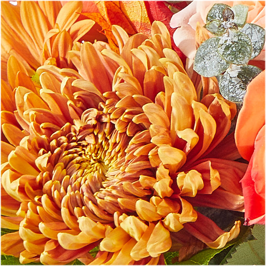 Scenic Route Bouquet – ANITA'S FLOWERS AND ICE CREAM LLC, Passaic NJ