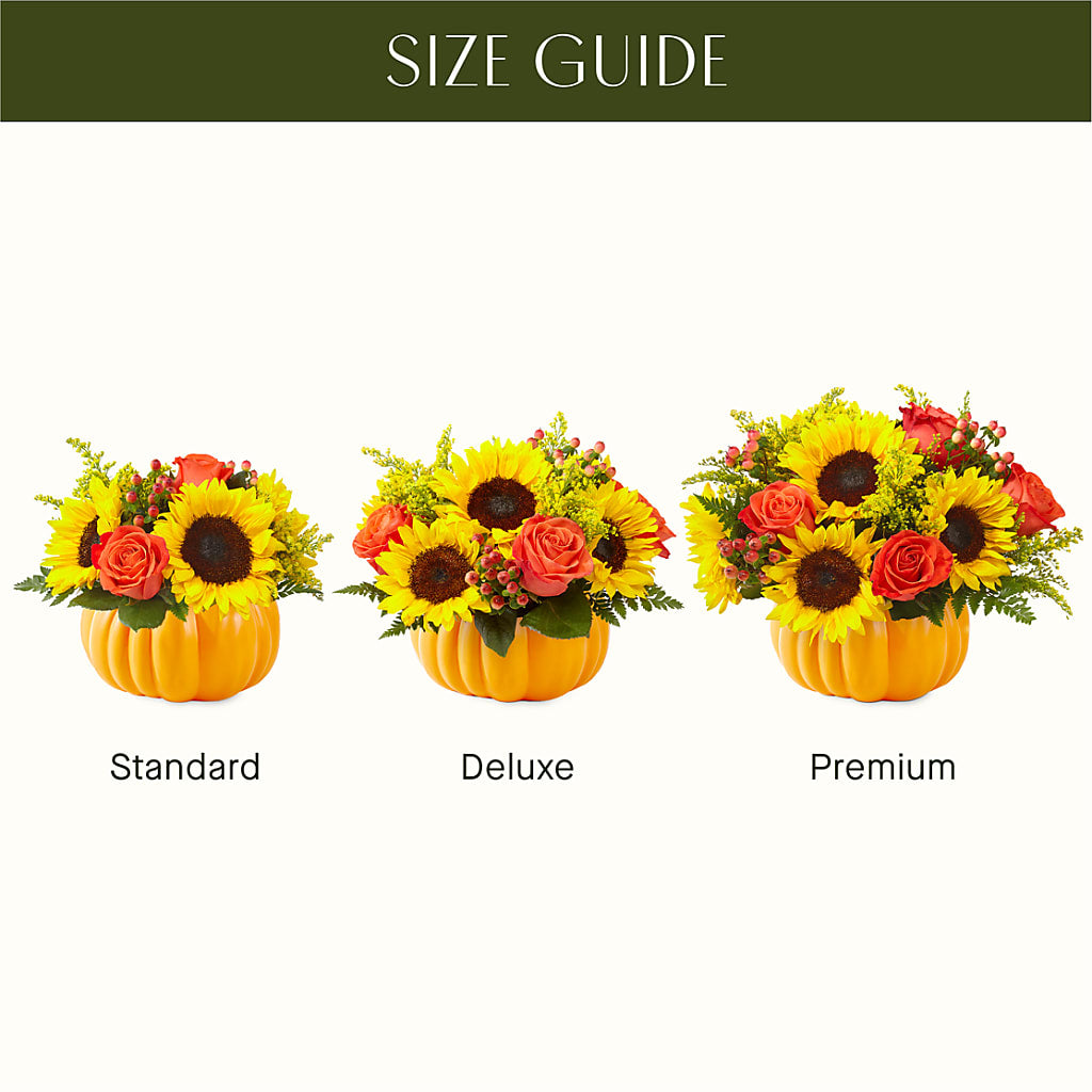 Pick of the Patch Pumpkin Bouquet – ANITA'S FLOWERS AND ICE CREAM LLC, Passaic NJ
