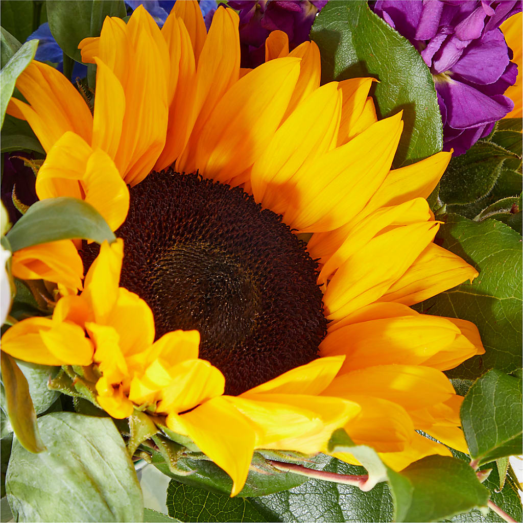Catching Rays Bouquet – ANITA'S FLOWERS AND ICE CREAM LLC, Passaic NJ