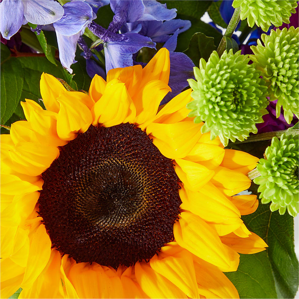 Catching Rays Bouquet – ANITA'S FLOWERS AND ICE CREAM LLC, Passaic NJ