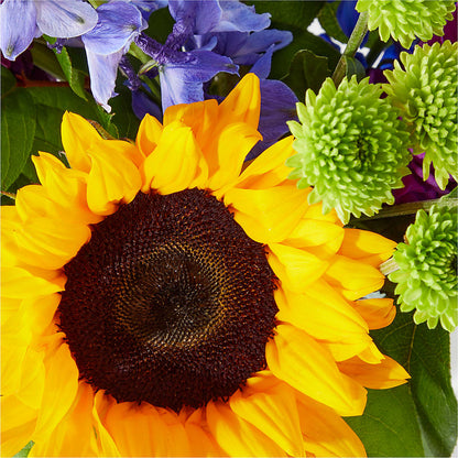 Catching Rays Bouquet – ANITA'S FLOWERS AND ICE CREAM LLC, Passaic NJ