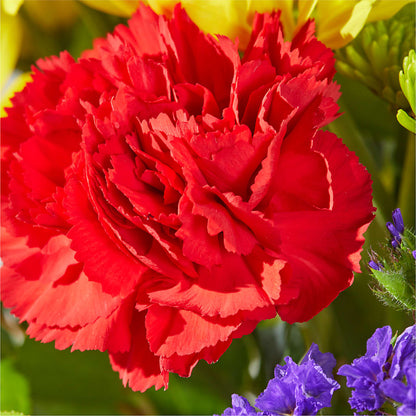 Brighter Days Bouquet – ANITA'S FLOWERS AND ICE CREAM LLC, Passaic NJ