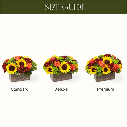 Happy Harvest Garden – ANITA'S FLOWERS AND ICE CREAM LLC, Passaic NJ