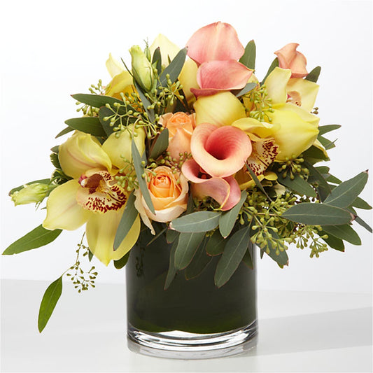 The Visionary – ANITA'S FLOWERS AND ICE CREAM LLC, Passaic NJ