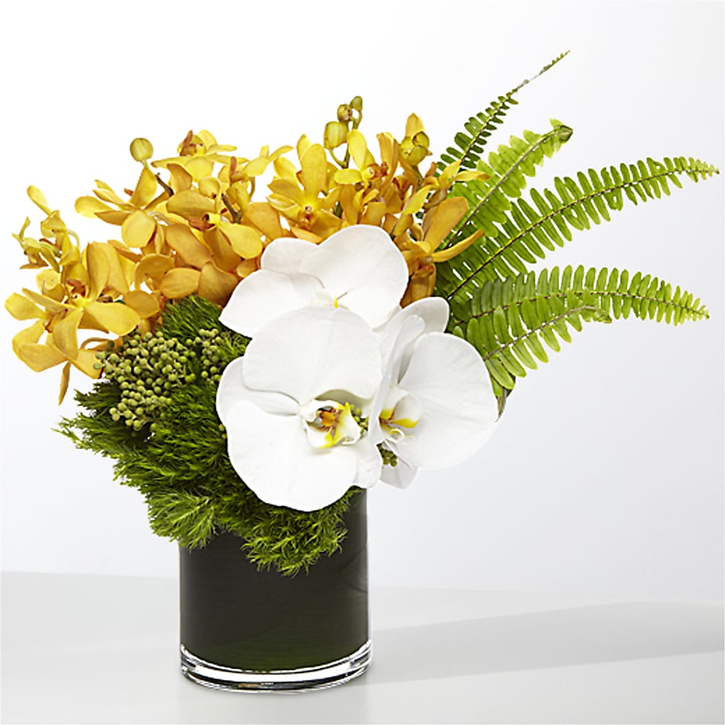 The Tropics – ANITA'S FLOWERS AND ICE CREAM LLC, Passaic NJ
