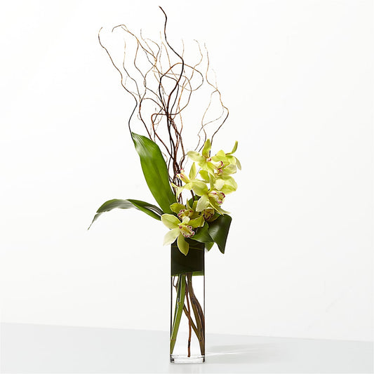 The Statement – ANITA'S FLOWERS AND ICE CREAM LLC, Passaic NJ