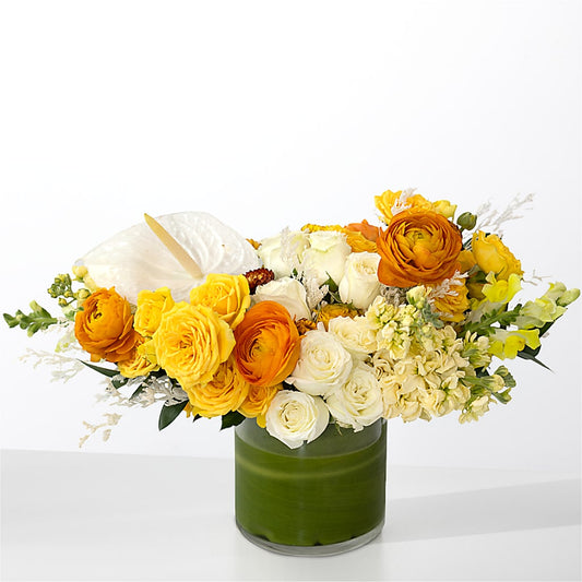 The Optimist – ANITA'S FLOWERS AND ICE CREAM LLC, Passaic NJ