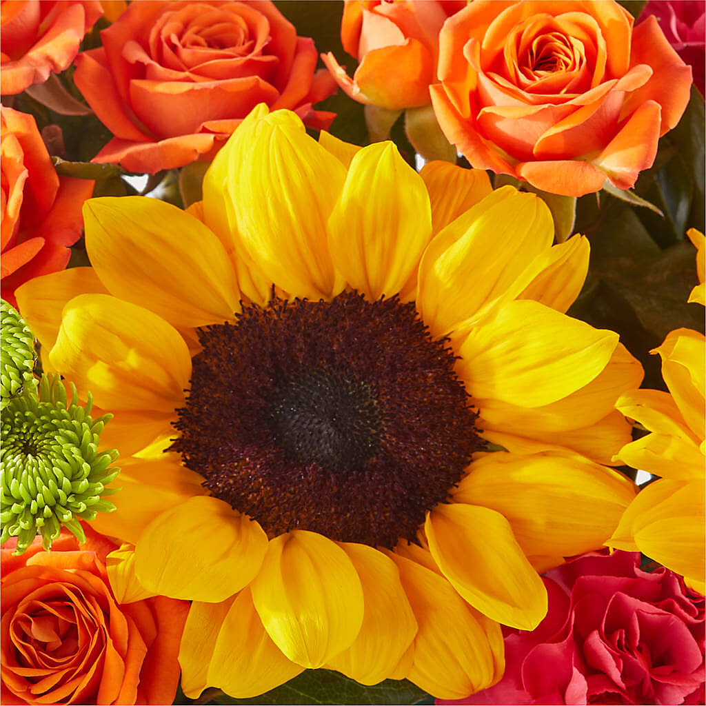 Sun-drenched Blooms Box Bouquet – ANITA'S FLOWERS AND ICE CREAM LLC, Passaic NJ