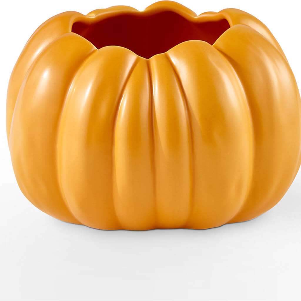 Golden Gourd Pumpkin Bouquet – ANITA'S FLOWERS AND ICE CREAM LLC, Passaic NJ