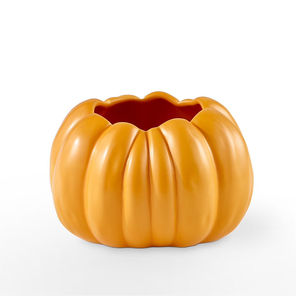 Pick of the Patch Pumpkin Bouquet – ANITA'S FLOWERS AND ICE CREAM LLC, Passaic NJ
