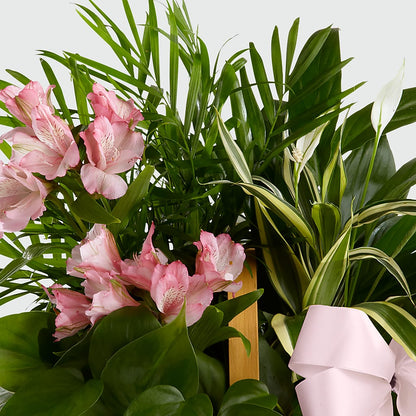 Living Spirit Dishgarden – ANITA'S FLOWERS AND ICE CREAM LLC, Passaic NJ