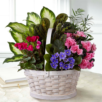 Peaceful Garden Planter – ANITA'S FLOWERS AND ICE CREAM LLC, Passaic NJ
