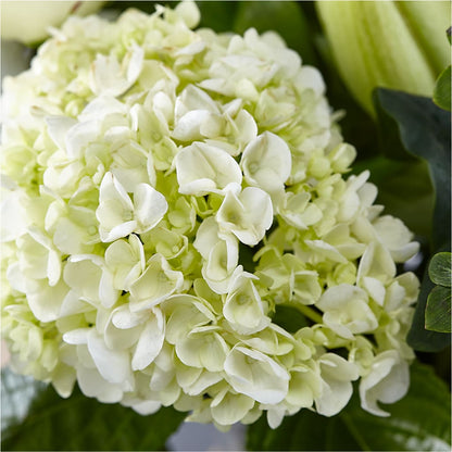 Classic Ivory – A Florist Original – ANITA'S FLOWERS AND ICE CREAM LLC, Passaic NJ