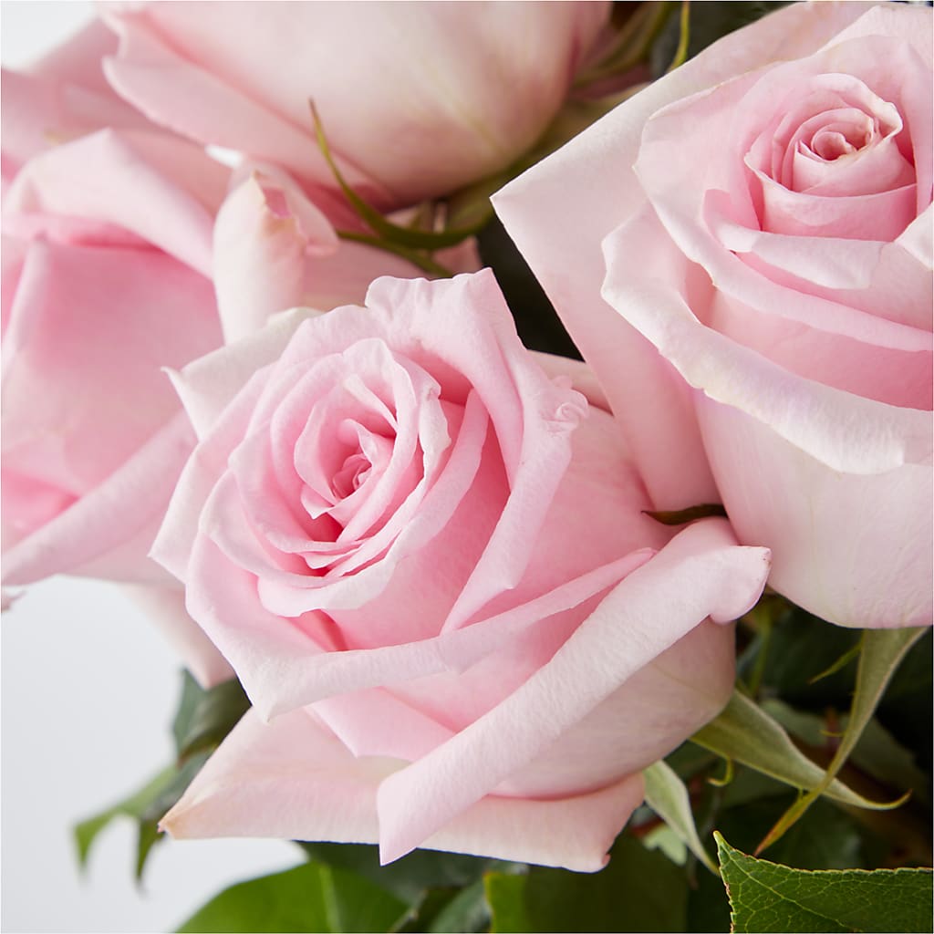 Picture Perfect Pink Rose Bouquet – ANITA'S FLOWERS AND ICE CREAM LLC, Passaic NJ