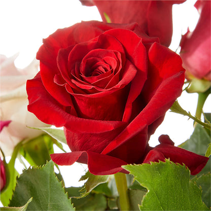 Love Notes Rose Bouquet – ANITA'S FLOWERS AND ICE CREAM LLC, Passaic NJ
