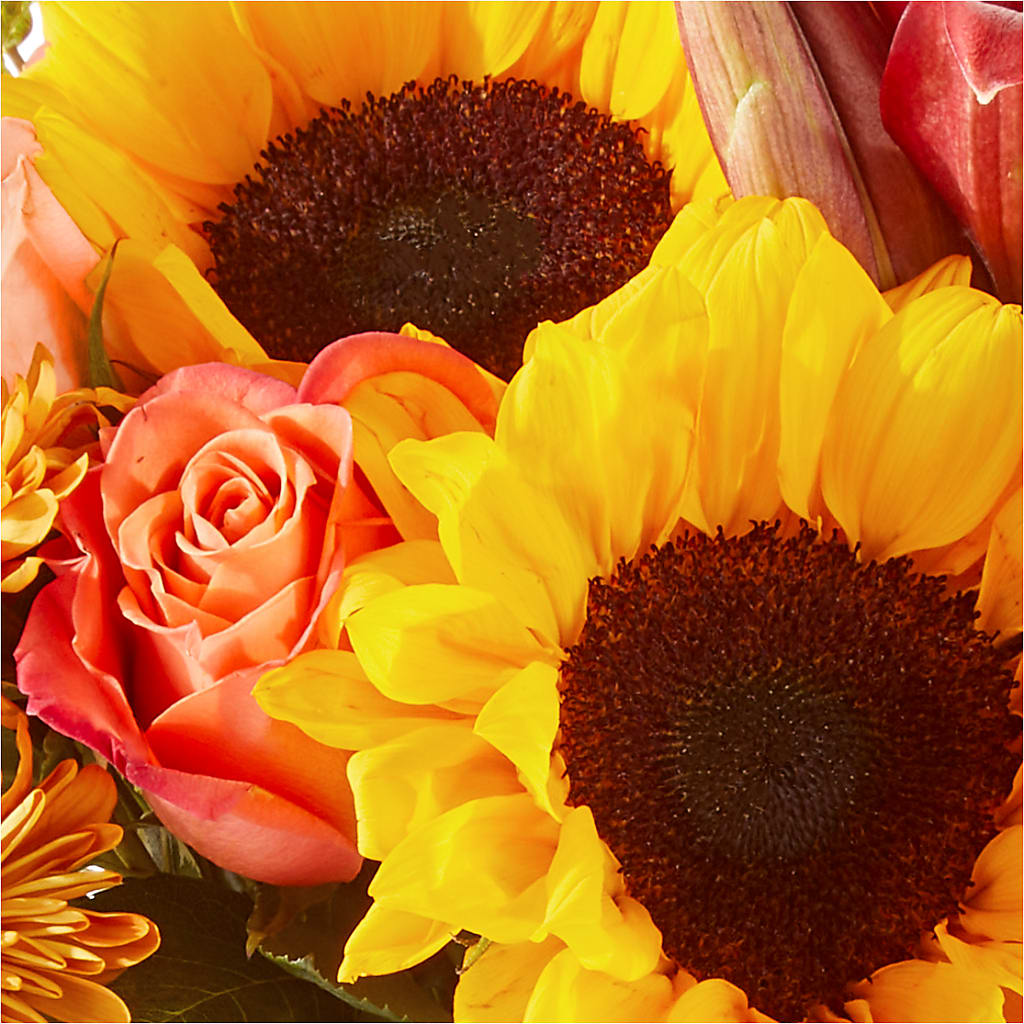Acorn Lane Bouquet – ANITA'S FLOWERS AND ICE CREAM LLC, Passaic NJ