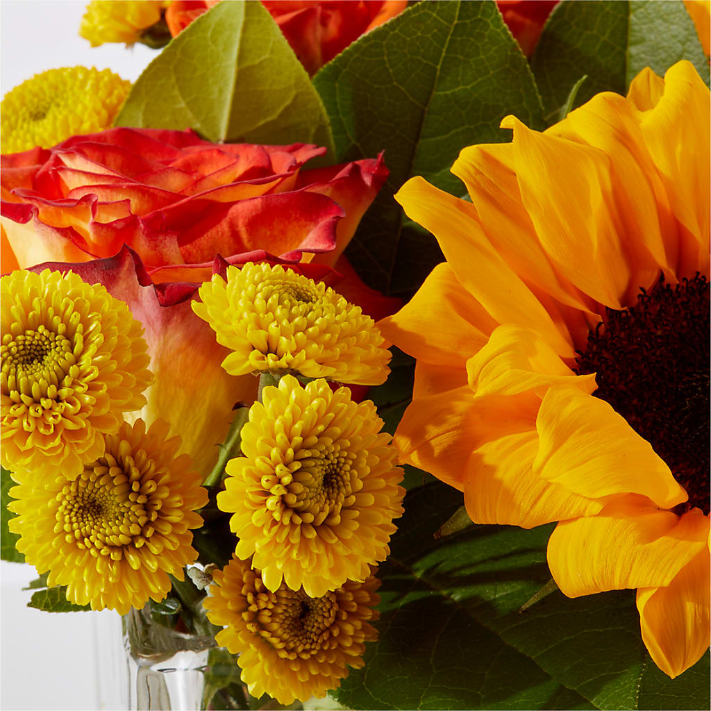 Picnic in the Park Bouquet – ANITA'S FLOWERS AND ICE CREAM LLC, Passaic NJ