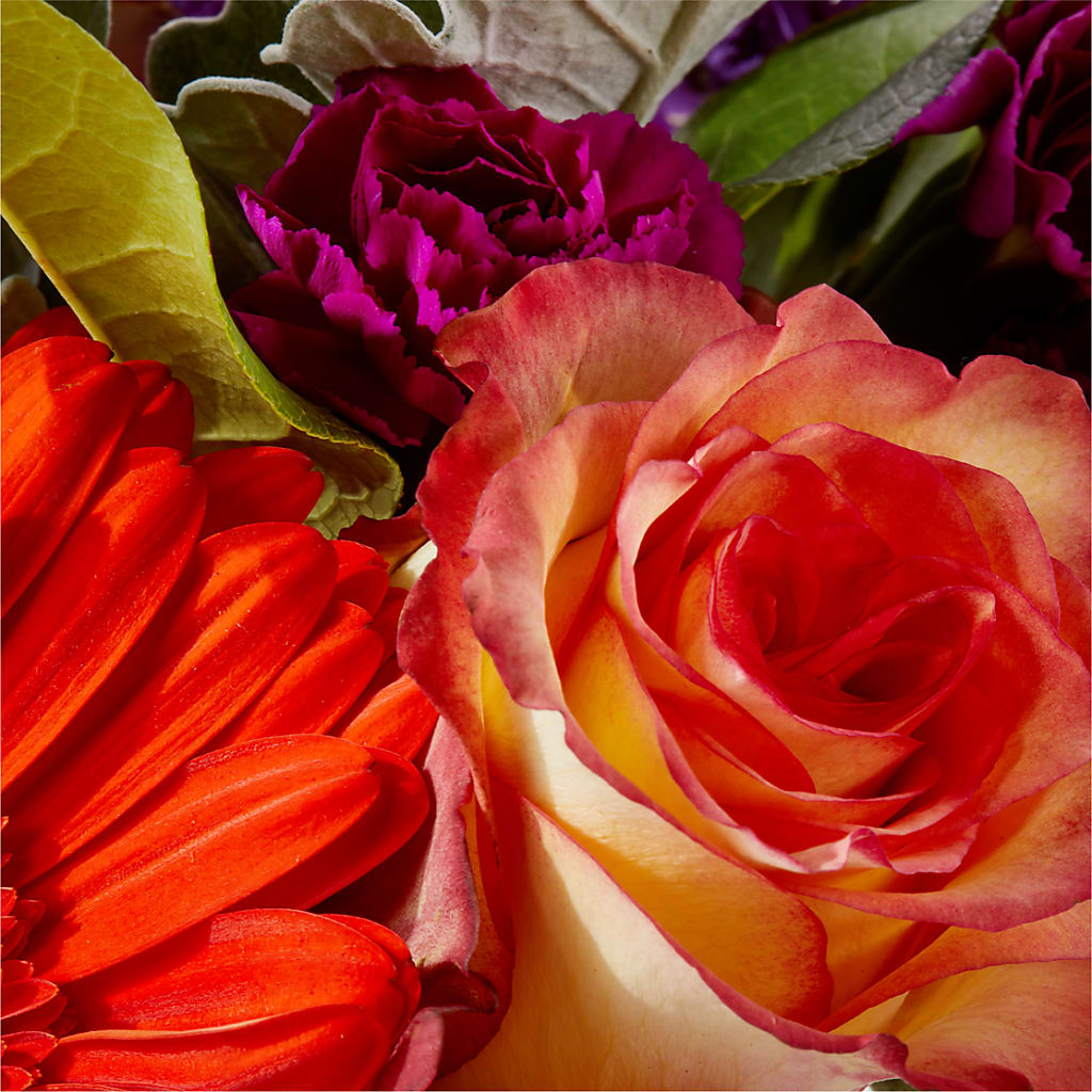 Sangria Bouquet – ANITA'S FLOWERS AND ICE CREAM LLC, Passaic NJ