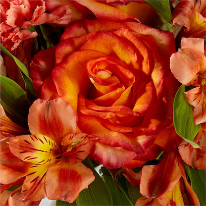Apricot Glow Bouquet – ANITA'S FLOWERS AND ICE CREAM LLC, Passaic NJ