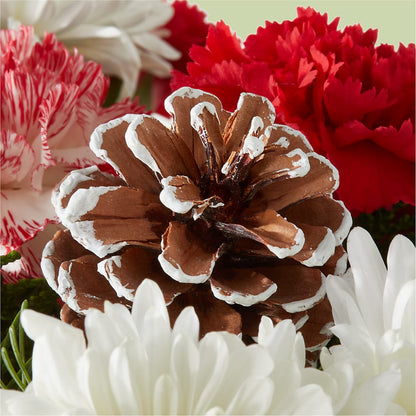 Candy Cane Lane Bouquet – ANITA'S FLOWERS AND ICE CREAM LLC, Passaic NJ