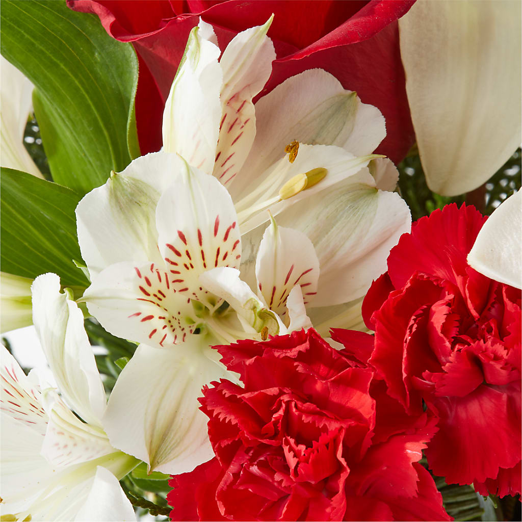 Holiday Season Bouquet – ANITA'S FLOWERS AND ICE CREAM LLC, Passaic NJ