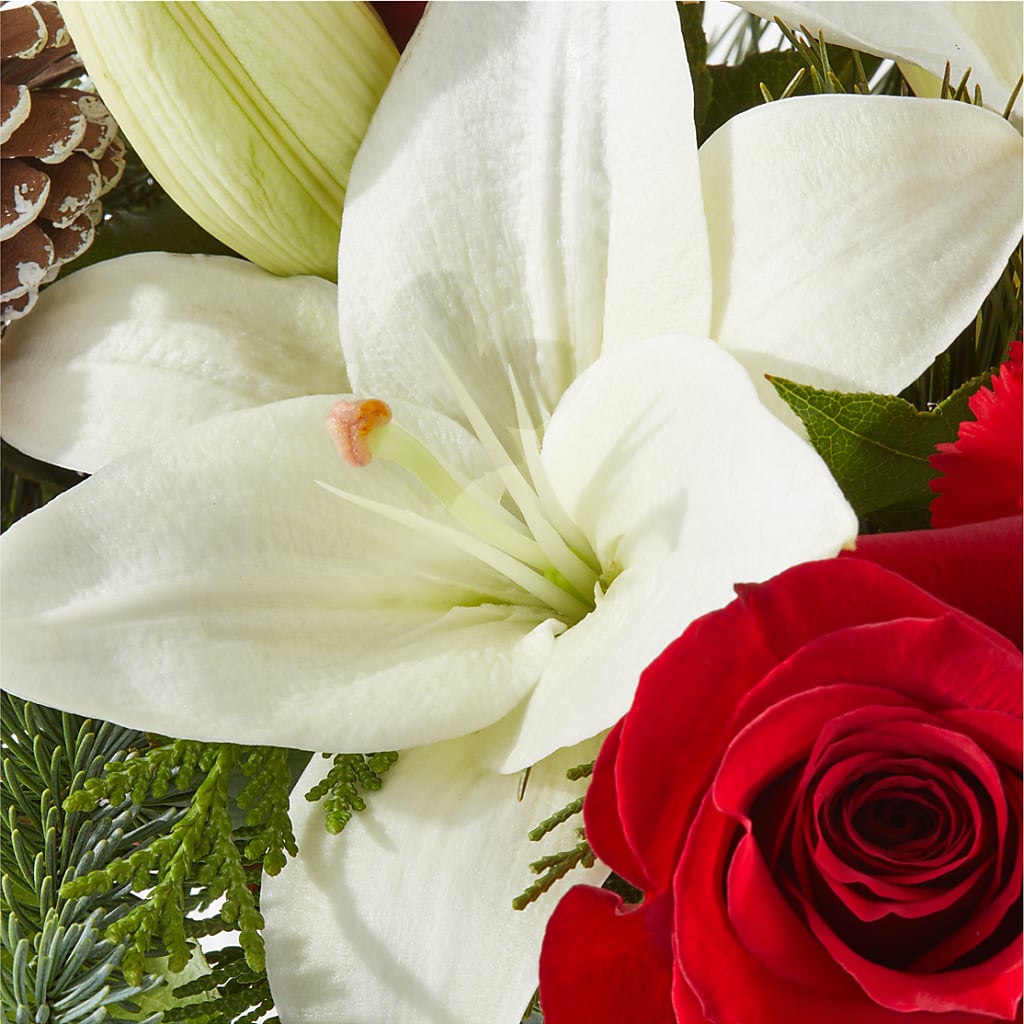 Oh So Jolly Bouquet – ANITA'S FLOWERS AND ICE CREAM LLC, Passaic NJ